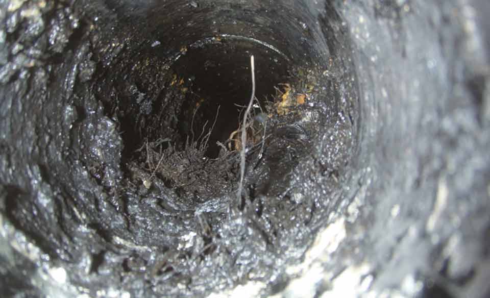 Sewer line root growth & sludge accumulation before final clean run through